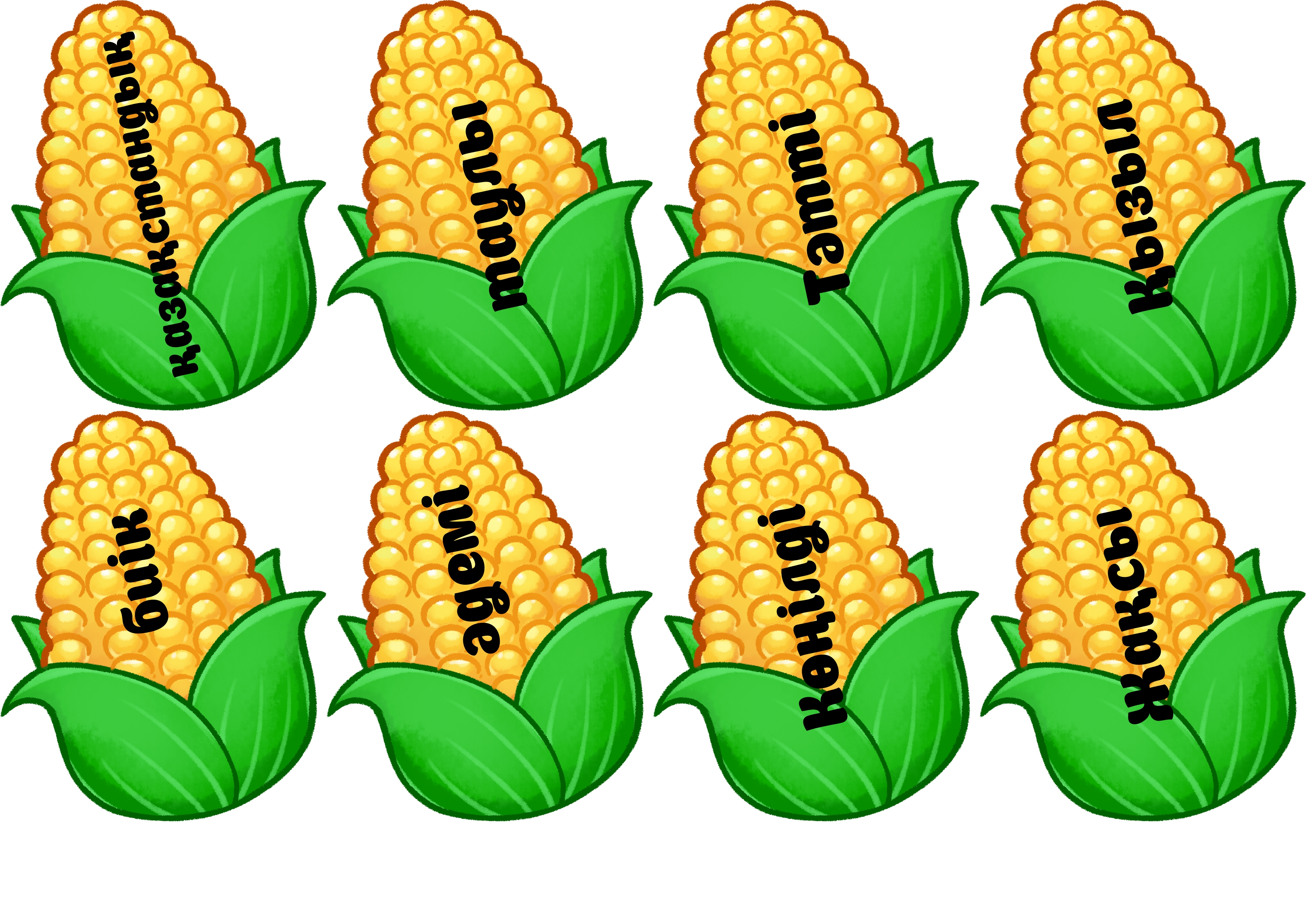 толық киска