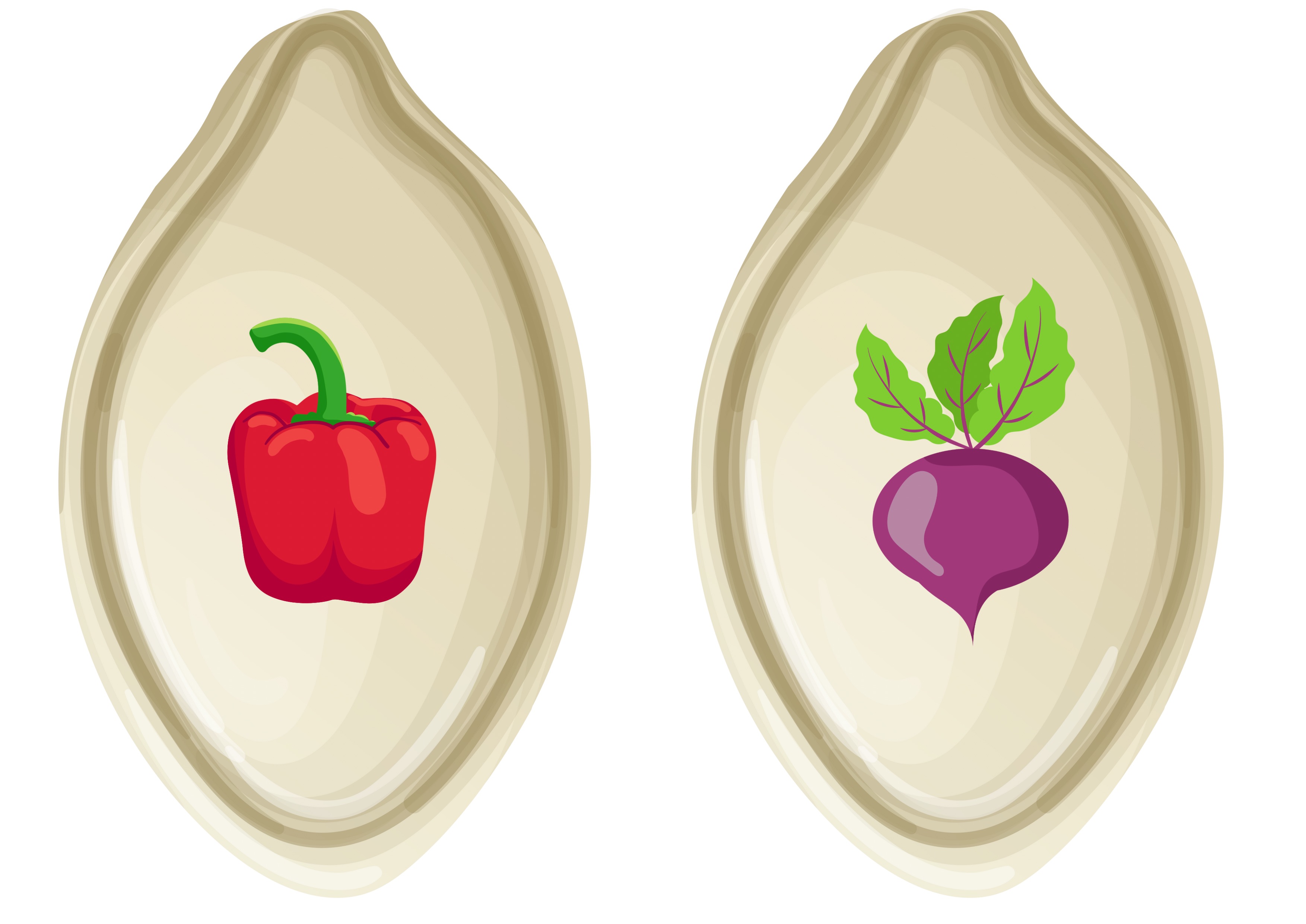 Аузындағы спермы порно фото