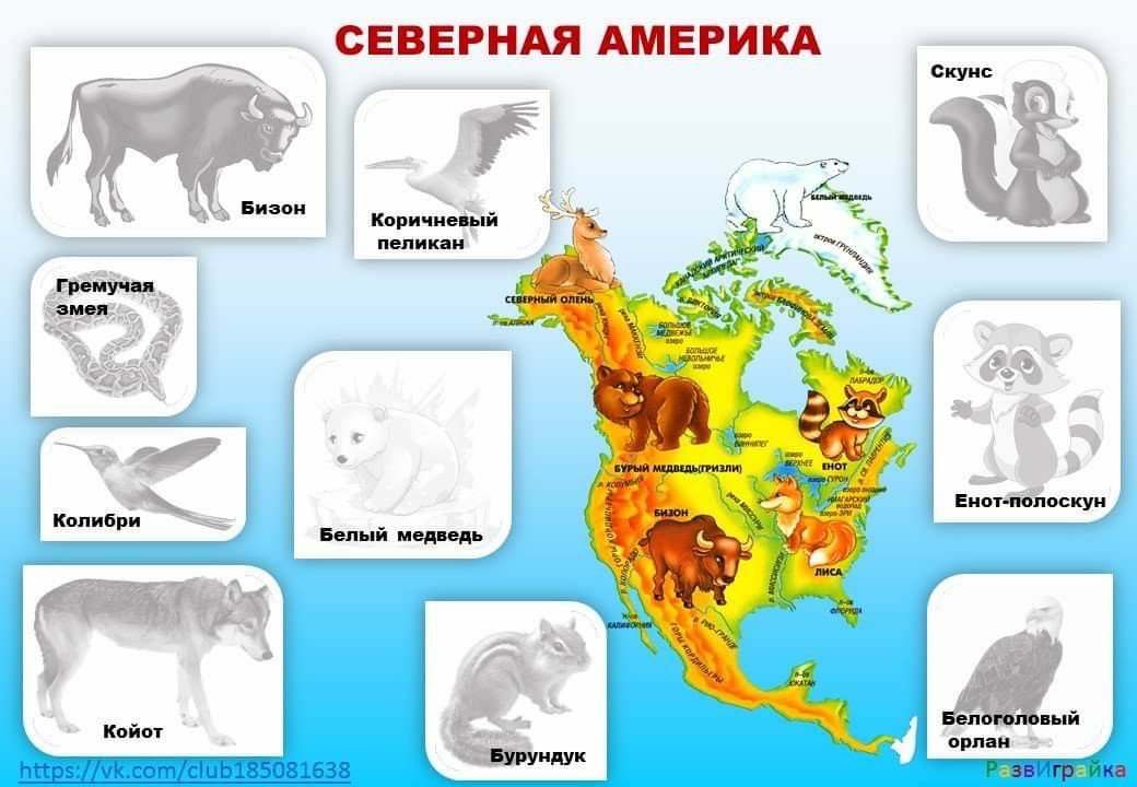 Ұятсыз сөздермен жыныстық қатынас