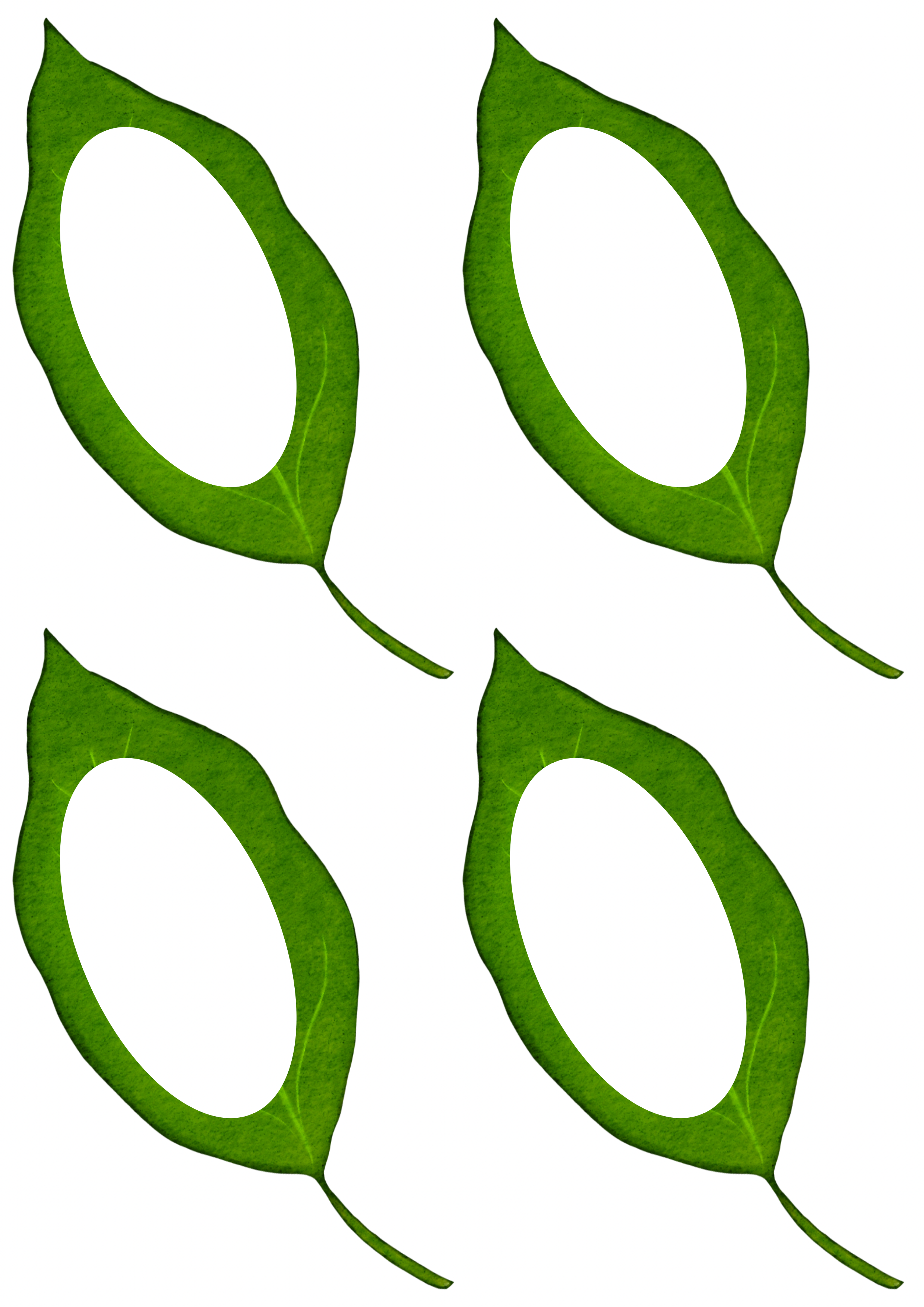 Elzbieta Zajoncowna жалаңаш