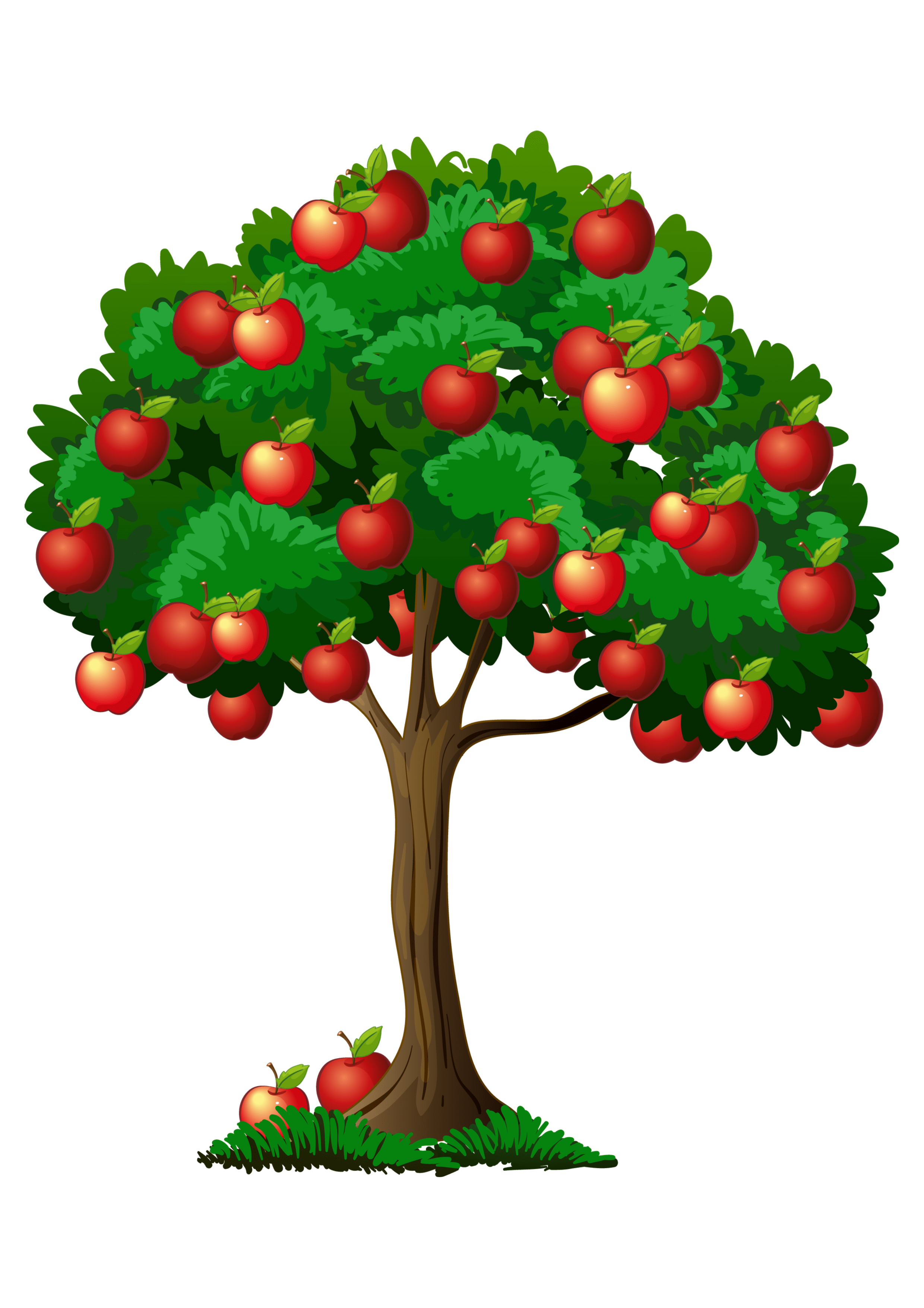 Тәжірибесіз жас және ерте жыныстық қатынас